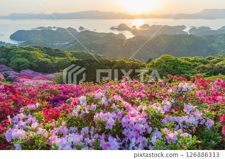 (Nagasaki Prefecture) Nagakushiyama Park: The setting sun of the Kita-Kujukushima Islands beyond the azaleas in full bloom (Nagasaki Prefecture) Nagakushiyama Park: The setting sun of the Kita-Kujukushima Islands beyond the azaleas in full bloom 126886313