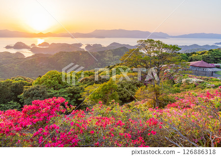 (長崎縣)長串山公園:杜鵑花盛開的北九十九島的夕陽 (長崎縣)長串山公園:杜鵑花盛開的北九十九島的夕陽 126886318
