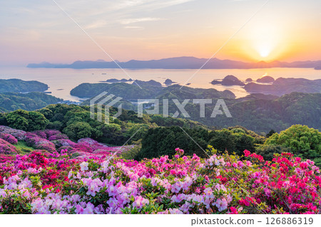 (長崎縣)長串山公園:杜鵑花盛開的北九十九島的夕陽 (長崎縣)長串山公園:杜鵑花盛開的北九十九島的夕陽 126886319