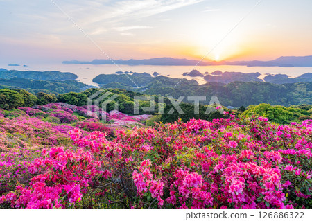 (長崎縣)長串山公園:杜鵑花盛開的北九十九島的夕陽 (長崎縣)長串山公園:杜鵑花盛開的北九十九島的夕陽 126886322