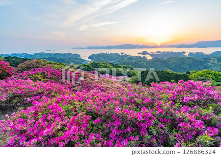 (長崎縣)長串山公園:杜鵑花盛開的北九十九島的夕陽 (長崎縣)長串山公園:杜鵑花盛開的北九十九島的夕陽 126886324
