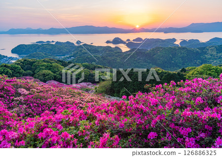(長崎縣)長串山公園:杜鵑花盛開的北九十九島的夕陽 (長崎縣)長串山公園:杜鵑花盛開的北九十九島的夕陽 126886325