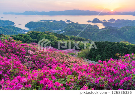 (長崎縣)長串山公園:杜鵑花盛開的北九十九島的夕陽 (長崎縣)長串山公園:杜鵑花盛開的北九十九島的夕陽 126886326