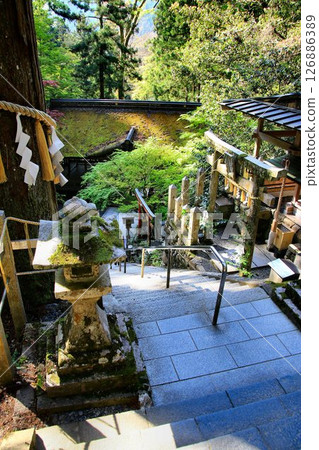 Yuki Shrine is the guardian shrine of Kurama Temple, where cosmic energy pours down and protects the capital city of Kyoto from evil spirits. 126886389