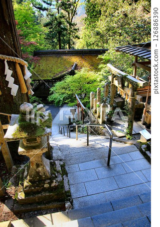 由岐神社是鞍馬寺的守護神社,宇宙能量從這裡傾瀉而下,保護京都免受邪靈侵擾。 由岐神社是鞍馬寺的守護神社,宇宙能量從這裡傾瀉而下,保護京都免受邪靈侵擾。 126886390