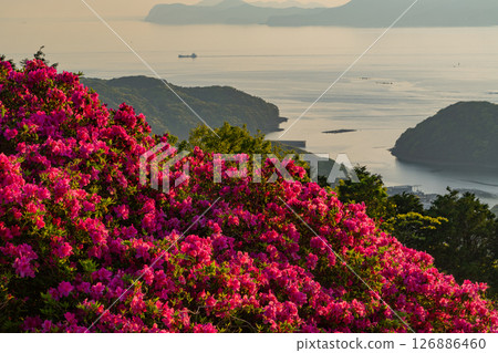 (Nagasaki Prefecture) Nagakushiyama Park: Evening view of the Kita-Kujukushima Islands beyond the azaleas in full bloom (Nagasaki Prefecture) Nagakushiyama Park: Evening view of the Kita-Kujukushima Islands beyond the azaleas in full bloom 126886460