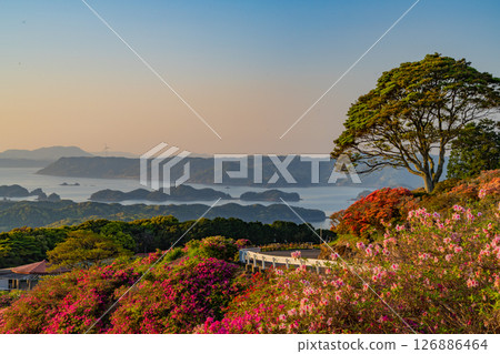 (Nagasaki Prefecture) Nagakushiyama Park: Evening view of the Kita-Kujukushima Islands beyond the azaleas in full bloom (Nagasaki Prefecture) Nagakushiyama Park: Evening view of the Kita-Kujukushima Islands beyond the azaleas in full bloom 126886464