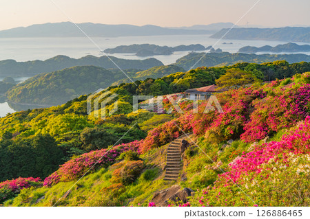 (Nagasaki Prefecture) Nagakushiyama Park: Evening view of the Kita-Kujukushima Islands beyond the azaleas in full bloom (Nagasaki Prefecture) Nagakushiyama Park: Evening view of the Kita-Kujukushima Islands beyond the azaleas in full bloom 126886465
