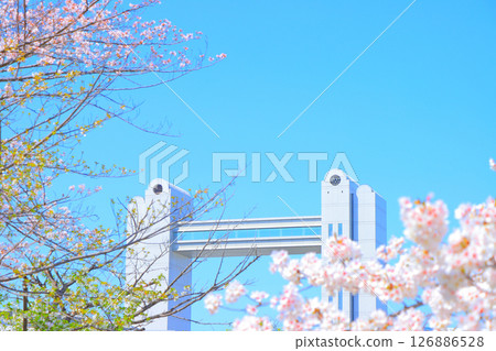 愛知縣名古屋市的春天，櫻花盛開的景色和名古屋國際會議中心 126886528