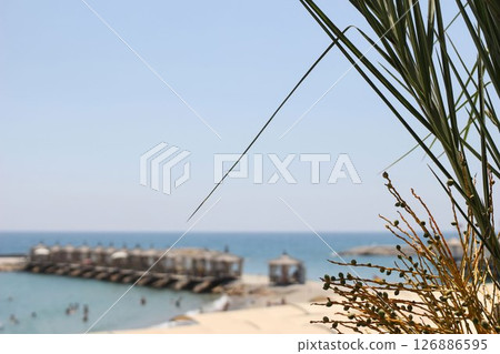 Tropical beach view with palm leaves in the foreground. Blurred background. Pier with cabanas, tourist people swimming. Clear blue sky over sea. Empty copy space. Summer vacation holiday concept Tropical beach view with palm leaves in the foreground. Blurred background. Pier with cabanas, tourist people swimming. Clear blue sky over sea. Empty copy space. Summer vacation holiday concept 126886595