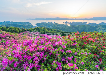 （長崎縣）長串山公園：杜鵑花盛開的北九十九島的夕陽 126886618