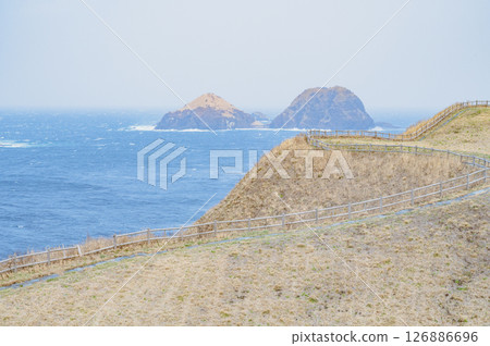 佐渡外海府海岸（出自小野遊戲） 126886696