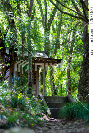 A small shrine in the middle of a forest surrounded by greenery 126886753