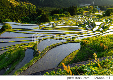 <Mie Prefecture> Sunset at Maruyama Senmaida 126886981