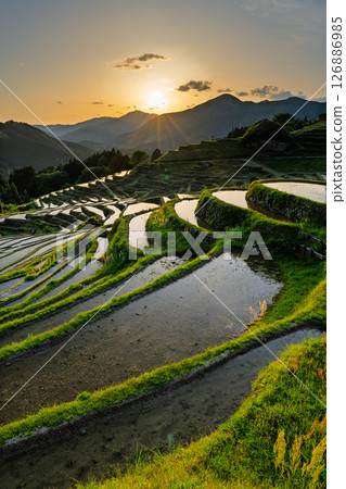 <三重縣>丸山千枚田的日落 126886985