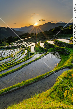 <三重縣>丸山千枚田的日落 126886987
