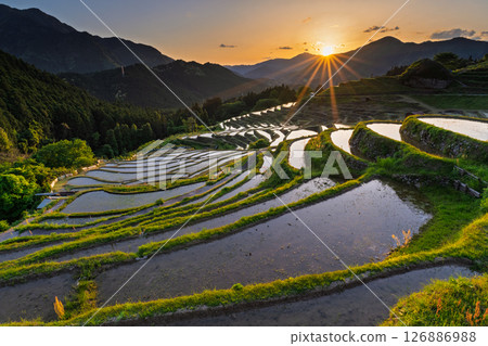 <Mie Prefecture> Sunset at Maruyama Senmaida 126886988