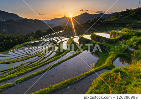 <Mie Prefecture> Sunset at Maruyama Senmaida 126886989