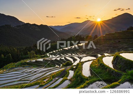 <Mie Prefecture> Sunset at Maruyama Senmaida 126886991