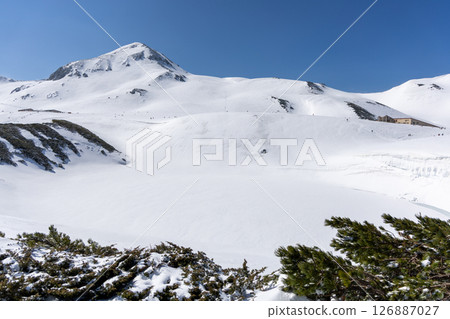 春雪覆蓋的御庫裡池和立山山脈 126887027