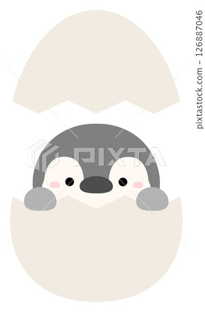 Penguin with eggs 126887046