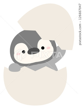 Penguin Egg Penguin Egg 126887047