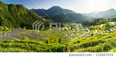 <Mie Prefecture> Sunset at Maruyama Senmaida 126887058