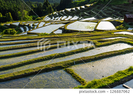 <Mie Prefecture> Sunset at Maruyama Senmaida 126887062