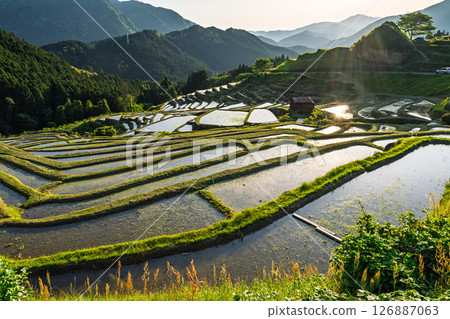 <Mie Prefecture> Sunset at Maruyama Senmaida 126887063