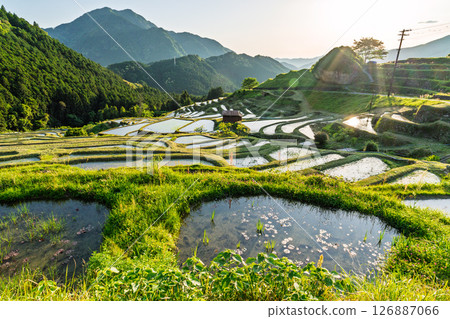 <三重縣>丸山千枚田的日落 126887066