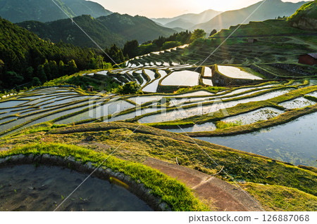 <三重縣>丸山千枚田的日落 126887068