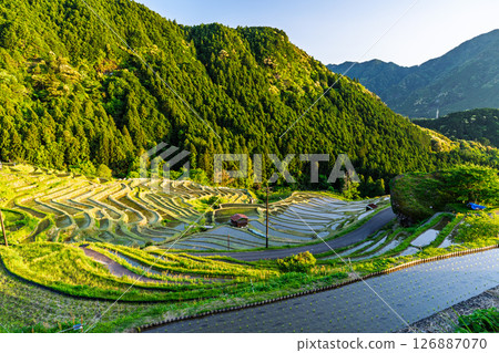 <Mie Prefecture> Sunset at Maruyama Senmaida <Mie Prefecture> Sunset at Maruyama Senmaida 126887070
