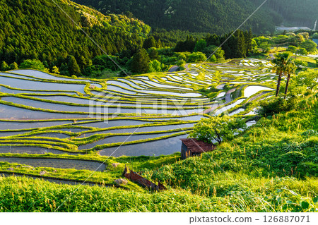 <Mie Prefecture> Sunset at Maruyama Senmaida 126887071