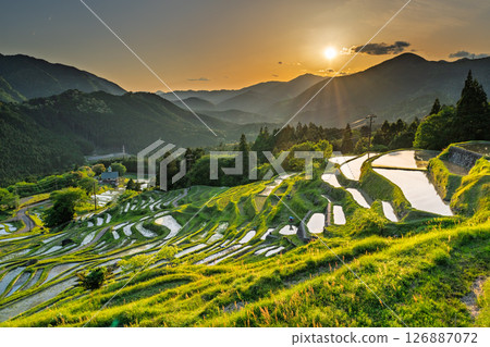 <Mie Prefecture> Sunset at Maruyama Senmaida 126887072