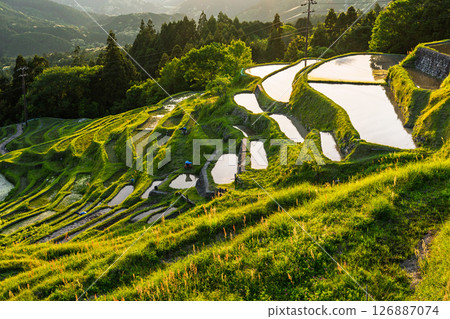 <Mie Prefecture> Sunset at Maruyama Senmaida <Mie Prefecture> Sunset at Maruyama Senmaida 126887074