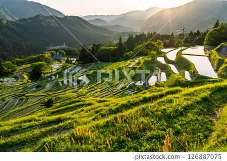 <Mie Prefecture> Sunset at Maruyama Senmaida 126887075