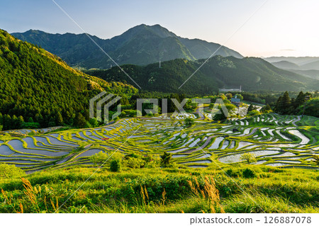 <Mie Prefecture> Sunset at Maruyama Senmaida 126887078