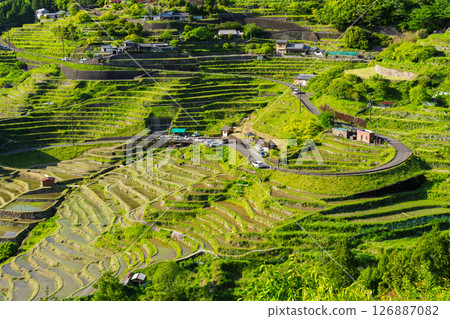 <三重縣>圓山千枚田的新綠 126887082