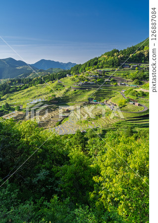 <三重縣>圓山千枚田的新綠 <三重縣>圓山千枚田的新綠 126887084