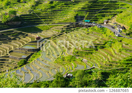 <Mie Prefecture> Fresh greenery of Maruyama Senmaida rice fields <Mie Prefecture> Fresh greenery of Maruyama Senmaida rice fields 126887085