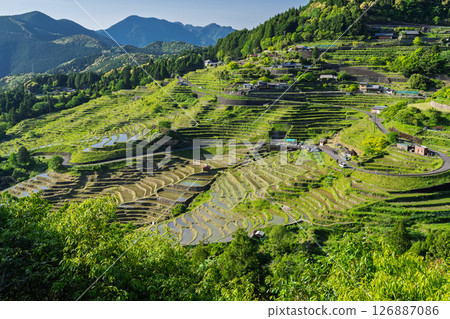 <Mie Prefecture> Fresh greenery of Maruyama Senmaida rice fields <Mie Prefecture> Fresh greenery of Maruyama Senmaida rice fields 126887086