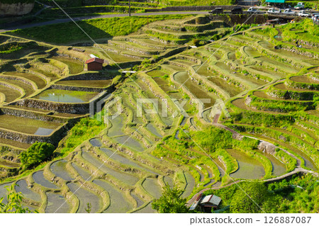 <Mie Prefecture> Fresh greenery of Maruyama Senmaida rice fields <Mie Prefecture> Fresh greenery of Maruyama Senmaida rice fields 126887087