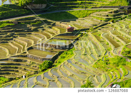 <Mie Prefecture> Fresh greenery of Maruyama Senmaida rice fields 126887088