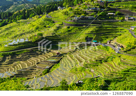 <三重縣>圓山千枚田的新綠 126887090