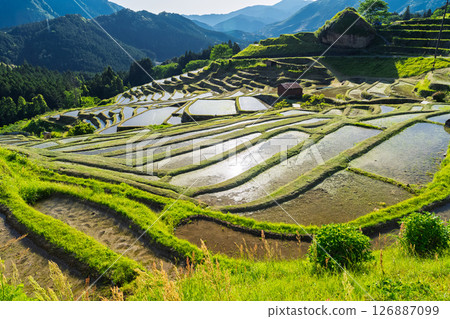 <三重縣>圓山千枚田的新綠 126887099