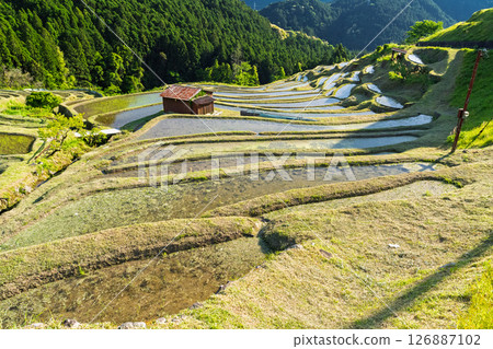 <三重縣>圓山千枚田的新綠 126887102