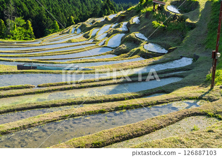 <三重縣>圓山千枚田的新綠 126887103