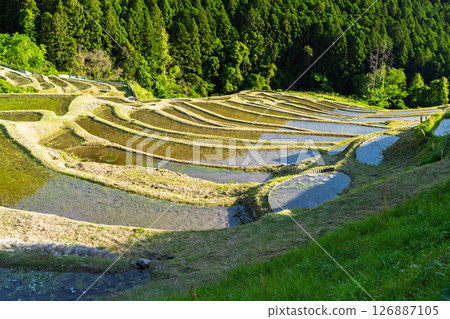 <三重縣>圓山千枚田的新綠 126887105