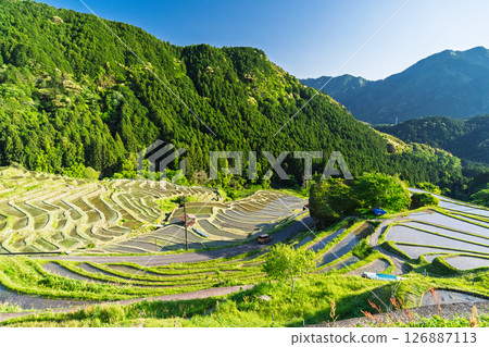 <三重縣>圓山千枚田的新綠 126887113