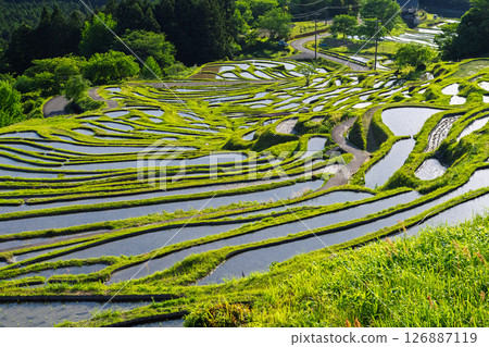 <三重縣>圓山千枚田的新綠 126887119